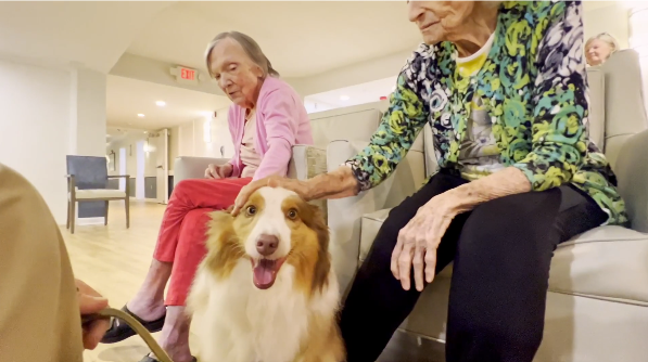 Seniors petting dog